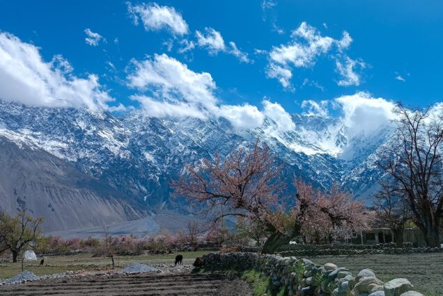 Hunza Blossom Tour